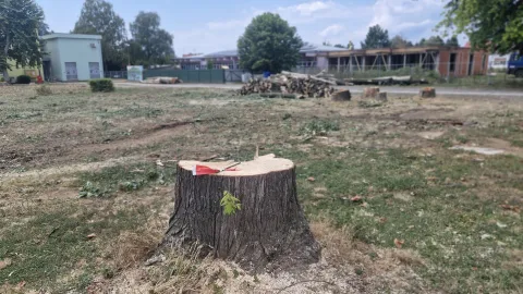 Ru&scaron;enjem stabala počeo je projekt pro&scaron;irenja &scaron;kole u Belom Manastiru