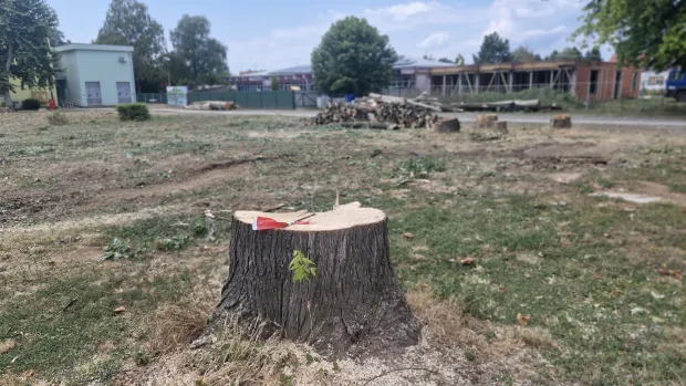 Ru&scaron;enjem stabala počeo je projekt pro&scaron;irenja &scaron;kole u Belom Manastiru