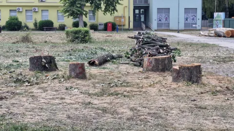 Ru&scaron;enjem stabala počeo je projekt pro&scaron;irenja &scaron;kole u Belom Manastiru