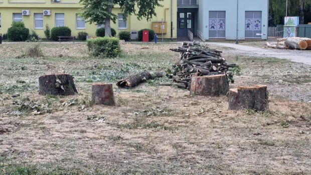 Ru&scaron;enjem stabala počeo je projekt pro&scaron;irenja &scaron;kole u Belom Manastiru