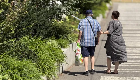 Osijek, 30. 07. 2026., krajobrazna arhitektura, hortikultura, parkovi, promenada, biljke, cvijeće, ljeto, UNIKOMSNIMIO BRUNO JOBST