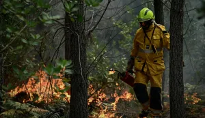 A firefighter surveys the scene amid the smoke as he holds a metal drip torch during a controlled fire operation in a forest in Le Porge, north of the Arcachon Basin, on July 30, 2026, during wildfires in the Gironde region, southwestern France. In France, the Gironde region reported a second calm night and said the massive fire west of France's wine-making capital of Bordeaux remained stable despite a spike in temperatures on July 29 as the fourth heatwave of the summer roasted the area. (Photo by Philippe Lopez/AFP)