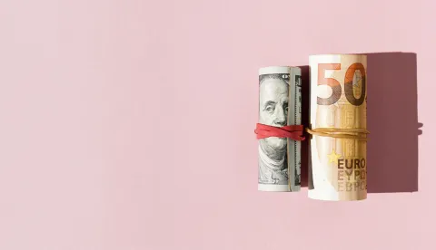 novac dolar euro freepik ilustracija