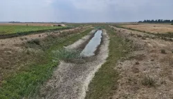 BARANJA - Presu&scaron;io i veliki lateralni kanal Zmajevac - Kneževi VinogradiKOLOVOZ 2026.