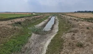 BARANJA - Presu&scaron;io i veliki lateralni kanal Zmajevac - Kneževi VinogradiKOLOVOZ 2026.