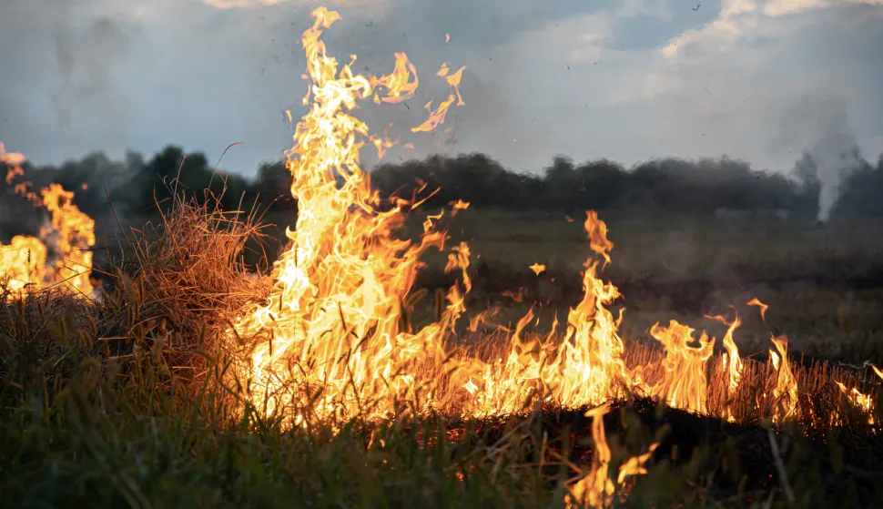 Fire in the steppe, the grass is burning destroying everything in its path.na otovrenom požar, vatra, gori namje&scaron;taj, drvo, ilustracija, trava, raslinje
