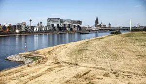 28 July 2026, North Rhine-Westphalia, Cologne: The meadows along the banks of the Rhine have turned a pale brown color due to the drought. Photo: Oliver Berg/dpa Photo: Oliver Berg/DPA