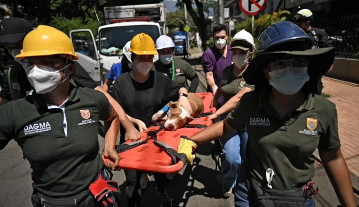 TOPSHOT - A dog named Renata is carried after being rescued from underneath the rubble in Cali, Colombia, on August 13, 2026, three days after a 7.4 earthquake. Rescuers in Colombia were making last-ditch efforts to locate earthquake survivors early on August 13, 2026, as the critical 72-hour window for rescue operations neared its end. (Photo by Raul ARBOLEDA/AFP)