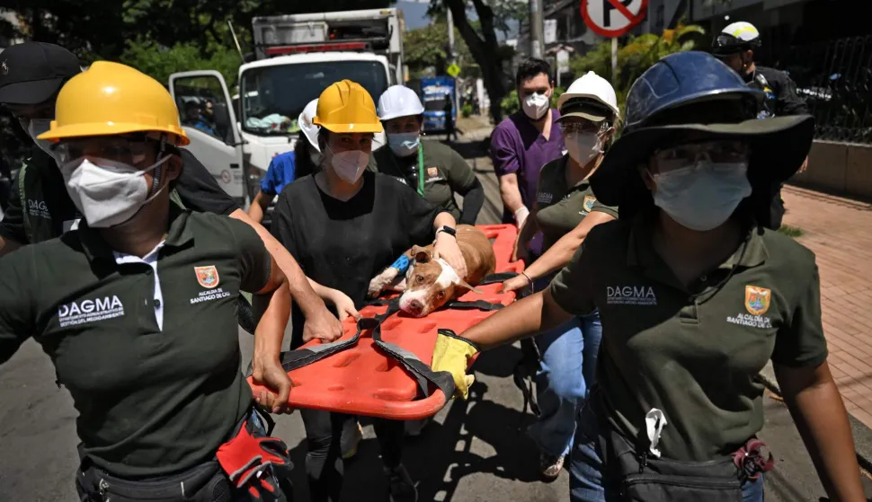 TOPSHOT - A dog named Renata is carried after being rescued from underneath the rubble in Cali, Colombia, on August 13, 2026, three days after a 7.4 earthquake. Rescuers in Colombia were making last-ditch efforts to locate earthquake survivors early on August 13, 2026, as the critical 72-hour window for rescue operations neared its end. (Photo by Raul ARBOLEDA/AFP)