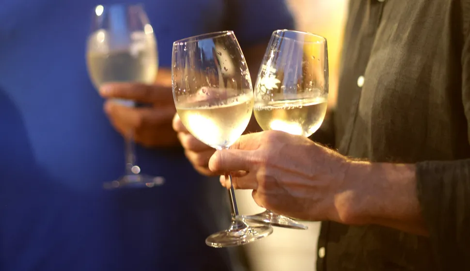 Osijek, 04. 07. 2025., Perivoj kralja Tomislava, Wine vino i umjetnost, večer vina i umjetnosti, vino, ča&scaron;a vina, atmosfera, ljudi, gužvaSNIMIO BRUNO JOBST