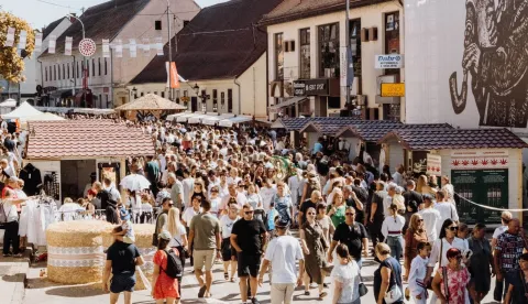 60. Vinkovačke jeseni