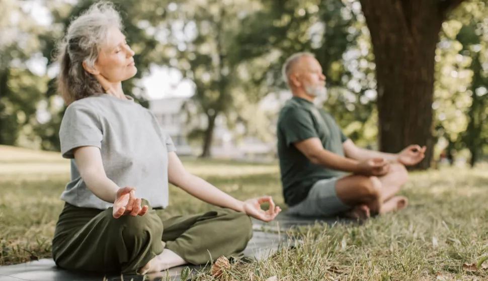 meditacije meditira