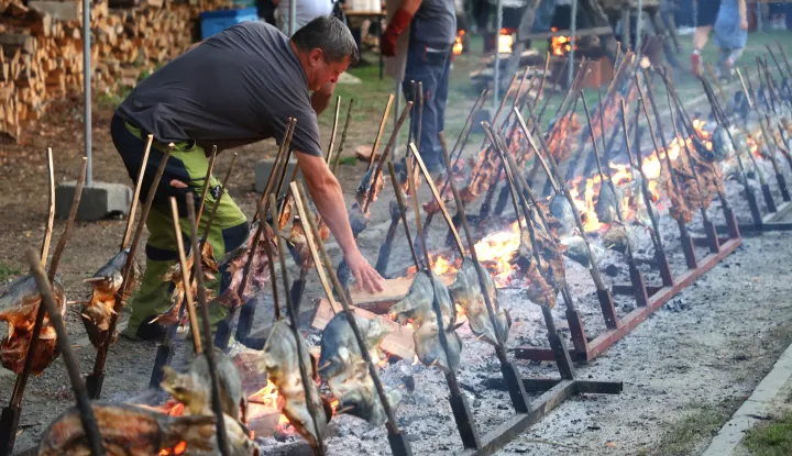 Kopačevo, 12. 09. 2025., 27. Ribarski dani, Ribarski dani, otvorenje, &scaron;aran na ra&scaron;ljamaSNIMIO BRUNO JOBST
