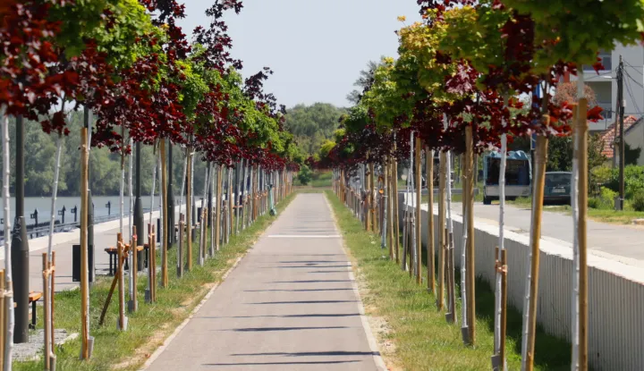 Osijek, 29. 04. 2024., Donjogradsko setaliste, suncano vrijeme, toplo vrijeme, setnja, mlado drvece, slobodnjak, slobodnjaciSNIMIO BRUNO JOBST