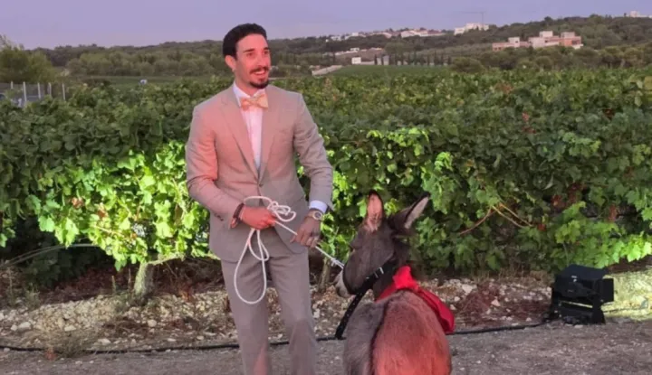 Vrsaljko dobio magarca