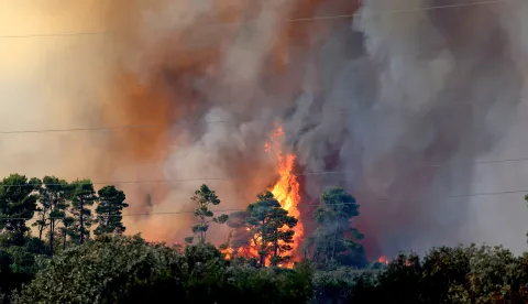 Zerava, 14.08.2026. - Jo&scaron; traje ga&scaron;enje požara otvorenog prostora koji je izbio oko 15 sati između Žerave i Ninskih Stanova, Foto HINA/Zvonko KUCELIN