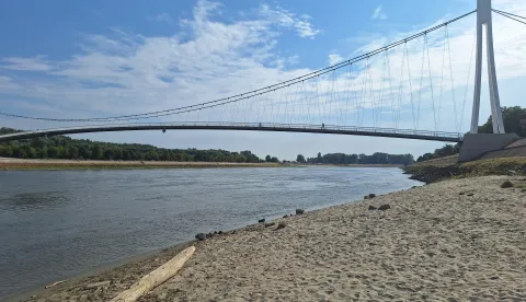 Nizak vodostaj Drave