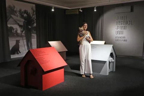 Osijek, 26. 08. 2026, Muzej Slavonije Osijek, MSO. Otvorenje izložbe -" Jedna markica, jedan dom, neispričana priča o psima", auuorice, Antonija Marić.snimio GOJKO MITIĆ