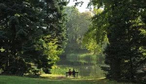 jesen park