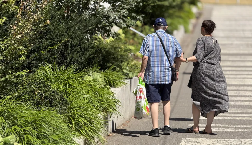 Osijek, 30. 07. 2026., krajobrazna arhitektura, hortikultura, parkovi, promenada, biljke, cvijeće, ljeto, UNIKOMSNIMIO BRUNO JOBST