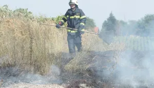 29.07.2013., Koprivnica - Koprivnicki vatrogasci morali su intervenirati u vinogradarskom predjelu Mocile pored Koprivnice zbog neodgovornog vlasnika parcele koju nije redovito kosio, nego je nakon upozorenja komunalnog redara da zbog prigovaranja susjeda mora ukloniti sikaru zapalio korov. Pozar je izmaknuo kontroli i unistio dijelove vinograda uz parcelu. Photo: Marijan Susenj/PIXSELL