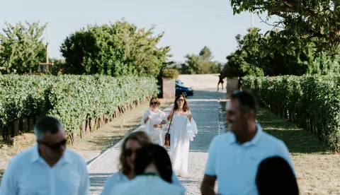 Vinarija i destilerija K55