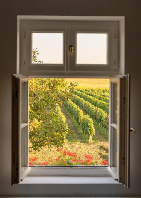 Vinarija K55 - Vinska &scaron;etnja muzejima