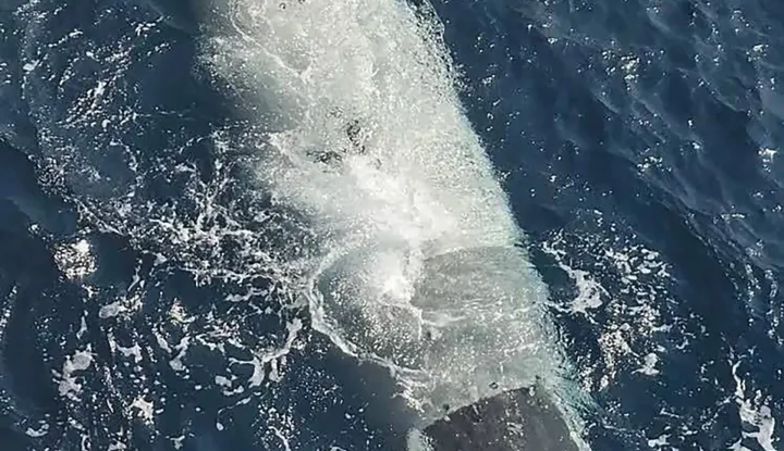 This handout photograph released on the official Sepah News website of Iran's Islamic Revolutionary Guard Corps (IRGC) on September 8, 2026, reportedly shows an unmanned US submarine drone captured by the Guards in the Strait of Hormuz. Iran's Revolutionary Guards on September 8 said they seized an American submarine drone in the strategic Strait of Hormuz, which Tehran has blockaded in the months-long Middle East war. Iran has maintained a blockade of the Strait of Hormuz, which normally carries about a fifth of the world's oil and liquefied natural gas exports, since the outbreak of the war in late February. (Photo by Handout/SEPAHNEWS.COM/AFP)/