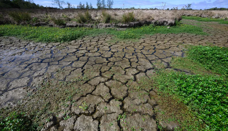 This picture shows a dry water stream in Machecoul, western France, on September 3, 2026. After a summer marked by record-breaking heat waves, wildfires, and drought, the government announced on September 4, 2026 one billion euros in emergency aid to support France?s hard-hit agricultural sector. (Photo by Loic VENANCE/AFP)