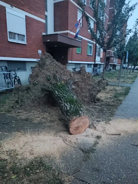 Vijenac Vladimira Nazora