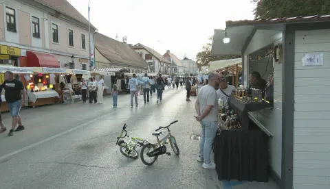 slavonski sokak vinkovačke jeseni2026