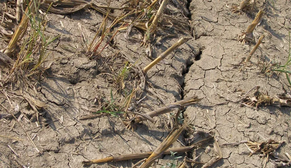 su&scaron;a postrno nakon žetve polje njiva poljoprivreda klimatske promjene