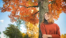 sunce jesen