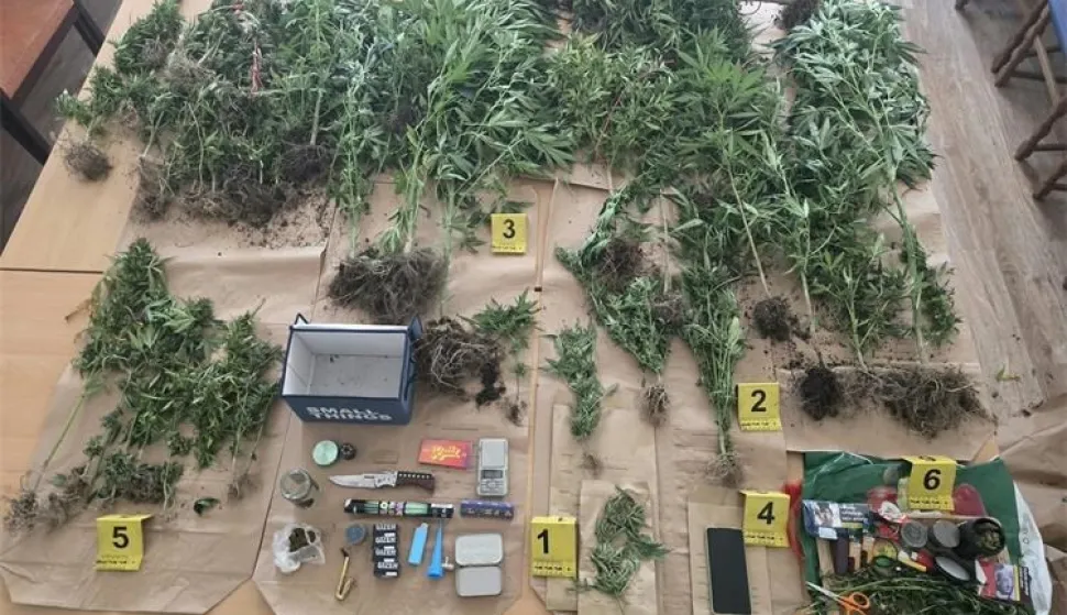 PU osječko-baranjska, Beli&scaron;će, droga, marihuana, indijska konoplje, pribor za drogu, rujan 2026.