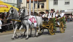 svečani mimohod 
