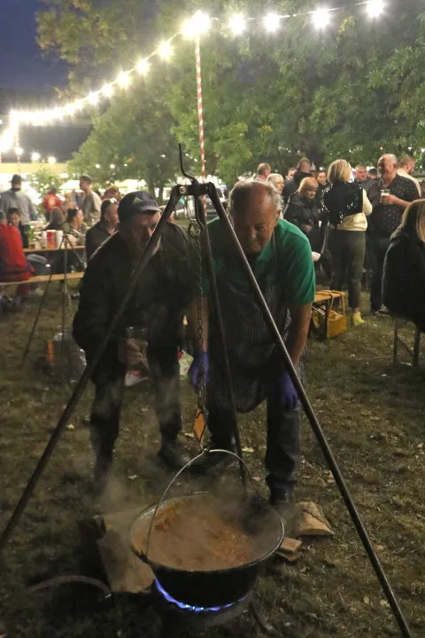 Čepin, 25. 09. 2026, 25. Čepinski suncokreti, igrali&scaron;te O&Scaron; Vladimir Nazor. Otvorenje, fi&scaron;ijada, nastupi KUD-ova, &scaron;tandovi...snimio GOJKO MITIĆ