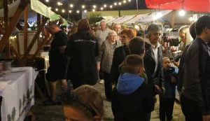 Čepin, 25. 09. 2026, 25. Čepinski suncokreti, igrali&scaron;te O&Scaron; Vladimir Nazor. Otvorenje, fi&scaron;ijada, nastupi KUD-ova, &scaron;tandovi...snimio GOJKO MITIĆ