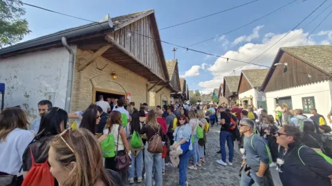 21. Vinski maraton, Zmajevac, rujan 2026.