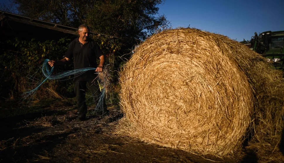 A farmer removes the net wrap from a round bale of straw kept to feed his cattle, as a lack of grazing grass caused by drought forces him to rely on stored fodder, on his farm in Coutras, south-western France on September 22, 2026. French farmers are facing mounting pressure from drought and increasingly erratic weather linked to climate change, according to a first annual report by farmers' support association Solidarite Paysans, which said it supported more than 4,000 farmers in 2025 struggling to earn a decent living from their work. (Photo by Philippe LOPEZ/AFP)
