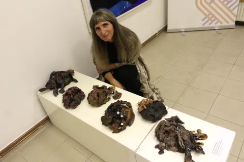 Osijek, 30. 09. 2026, Umjetnos i dobrobit, grupna izložba, Galerija Istarskog narodnog kazali&scaron;ta Pula, Galerija Knifer Osijek, otvorenje. Mia Janković Shentser.snimio GOJKO MITIĆ