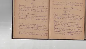 Okrugli stol u Marincima bio je posvećen Grgi Krajini i rukopisima Ivana Kozarca
