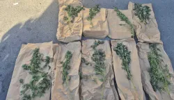 Jučer, 30. rujna, policijski službenici Službe kriminalističke policije Policijske uprave virovitičko-podravske, uz kori&scaron;tenje službenog psa za otkrivanje droga te temeljem naloga Županijskog suda u Bjelovaru, proveli su pretragu doma i drugih prostora u kojima prebiva i kojima se koristi 40-godi&scaron;njak s područja grada Virovitice.