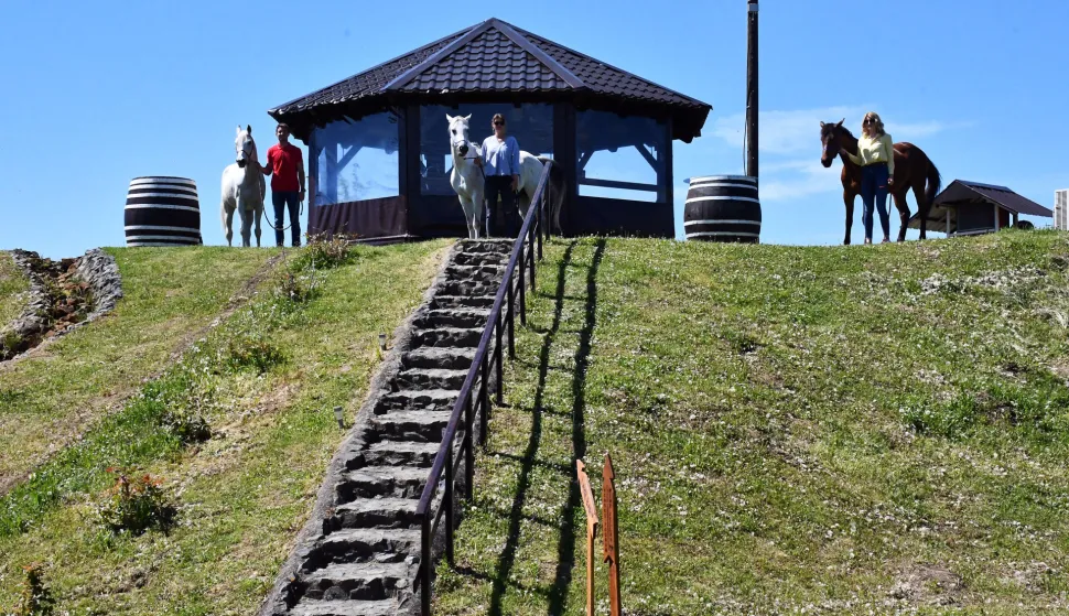 10.05.2021., Garcin - Turisticka atrakcija ranc Ramarin nalazi se u srcu Brodsko - posavske zupanije, izmedju rijeke Save i obronaka Dilja. Ranc se izdvaja vrhunskim grlima raznih sorti konja a posjetiteljima nudi raznoliku ponudu od gastro delicija do biciklisticke voznje brdskim i nizinskim rutama ili stazama za pjesacenje.r"nPhoto: Ivica Galovic/PIXSELL
