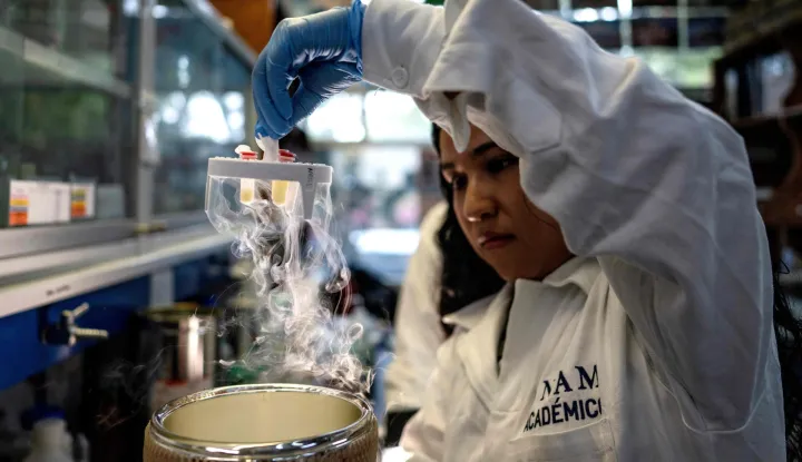 Snake venom is placed in liquid nitrogen at the laboratory of the Institute of Biotechnology of the National Autonomous University of Mexico (UNAM) in Cuernavaca, Morelos state, Mexico on August 28, 2026. (Photo by Carl DE SOUZA/AFP)