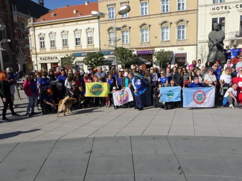 Proteklog vikenda Osječki pje&scaron;ački put organiziralo je Hrvatsko planinarsko dru&scaron;tvo Br&scaron;ljan-Jankovac Osijek, a ovogodi&scaron;nji odaziv pokazao je da ova tradicionalna akcija odavno vi&scaron;e nije rezervirana samo za iskusne planinare. Uz članove prijateljskih planinarskih dru&scaron;tava, na startu se okupio velik broj članova Br&scaron;ljan-Jankovca, ali i Osječana koji su jednostavno odlučili subotu provesti hodajući svojim gradom.