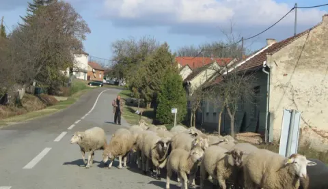 U pripremi je prvi program za raspolaganje državnom zemljom, s dugoročnim zakupom na 25 godina