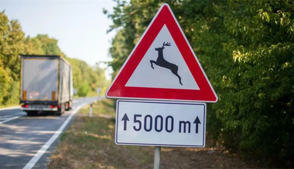 Zbog naleta na divljač od 2018. isplaćeno vi&scaron;e od 55 milijuna eura &scaron;tete