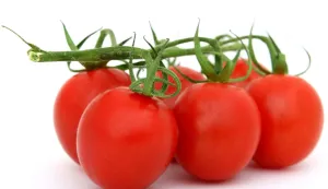 RAJČICE PARADAJZ CHERRY POVRĆE