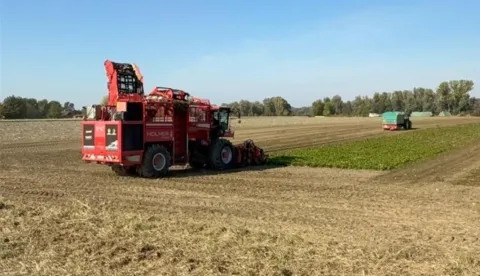 Vađenje repe u OPG-u foto: Ministarstvo poljoprivrede