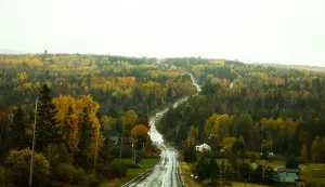 Fall foliage is seen in Patten, Maine, on October 13, 2026. (Photo by CHARLY TRIBALLEAU/AFP)